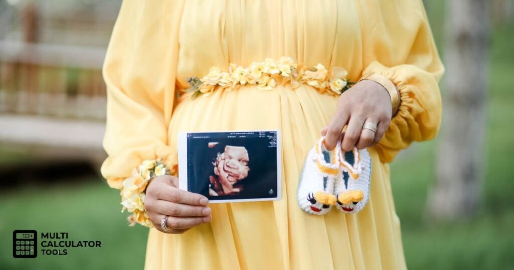 pregnancy wheel calculator