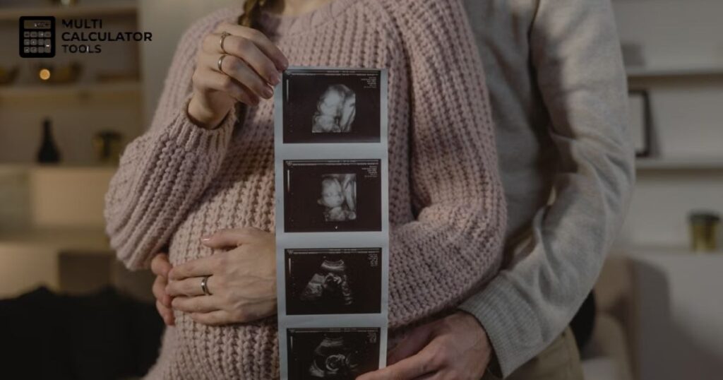 pregnancy-wheel-calculator